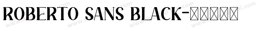 Roberto Sans Black字体转换